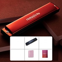 하모니카 전문 입 24 홀 폴리 포닉 C 스테인레스 스틸 표준 악기 교육 장난감, [01] 1