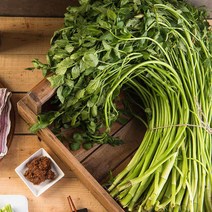 익산 진구농장 향긋한 미나리 2kg