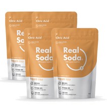[Realsoda] 프리미엄 무수 구연산 리필팩 4kg(리필팩 1kg 4팩) 식용구연산