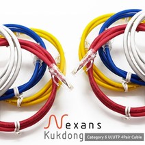 극동전선 넥상스 NKD42R.660 제작 랜케이블 블루 (2M CAT.6 UTP), 1개