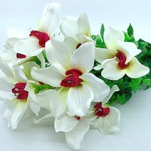 ( 콜) 용설란 조화부쉬(색상랜덤), 상세페이지 참조