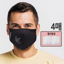 에코 5중 필터교체형마스크 N99마스크 필터 4개증정 L사이즈 (19x12cm), 1팩