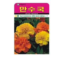 SN월드 씨앗 고급꽃씨 꽃씨앗, 고급 - 만수국(100립)