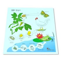 마이사이언스 동물의 한살이 (10명 세트) / (ICE), 상세페이지 참조