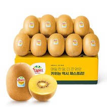 [G] 제스프리 맛젤 점보 골드키위 2.2kg(개당 150g 내외 14입)