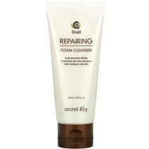 Secret Key Snail Repairing Foam Cleanser 3.38 fl oz (100 ml), 100ml
