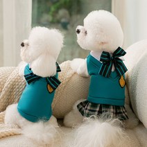 chol 반려동물 가을겨울 학원풍 리본 원피스, XXL