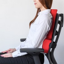 카이로프랙틱 기능성 허리쿠션(블랙) 등쿠션, 1개