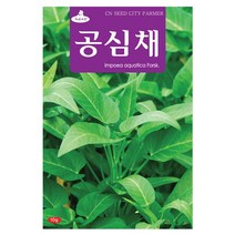 청농종묘 자소엽 씨앗 1000립 자소엽씨앗 자소엽씨 차조기 약재, 24_공심채(10g)