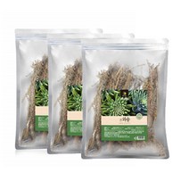 건와송 말린생와송 국내산 100g 3팩