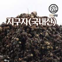 대흥한방 지구자 300g 국내산, 1개
