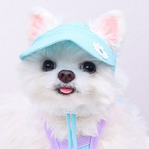 티아라펫 데이지 모자, 민트