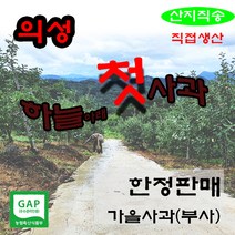 하늘아래첫사과(직접생산 박스무게제외 가정용사과), 부사(11월초~4월말), 가정용 3kg(한입사과)14~18개