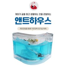 창작놀이 두뇌훈련 반려곤충 앤트 개미 개미집 개미관찰 ㄱ자형하우스 곤충키우기 개미키우기