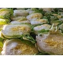 오늘애푸드 김장시즌 국내산 강원도 / 해남 절임배추20kg, 11월11일(토)도착