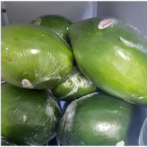 필리핀 그린파파야 5KG 파파야 샐러드 솜땀재료, 5KG(8~12과), 1개