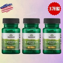 스완슨 GI 지수 유산균 프로바이오틱스 100억 3개월, 세트
