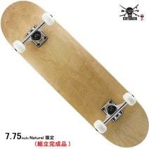 초보자용 스케이트 보드 입문용 가능 입문자 인기있는, 7.75인치