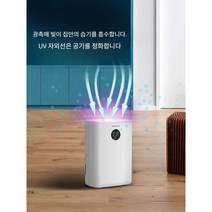 제습기 가정용 사무실 지하실 원룸 빨래건조 습기제거, 플래그십 화이트.