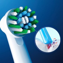 [Oral-B] 오랄비 프로 엑스퍼트 크로스액션 블랙 리필모 2입EB50BRX 2, 크로스액션 블랙 리필모 2입[OR51]