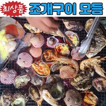 (최상품) 모듬조개구이세트 캠핑 모듬 가리비 조개 조개구이 조개찜 세트 구이용 4인, 모듬조개구이세트 3kg내외