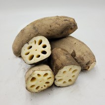 국내산 연근 생연근 흙연근 정품 특품 1kg 3kg 5kg 10kg [노블프레쉬], 연근 10kg