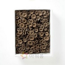 느타리버섯 다발 2kg, 단품, 단품