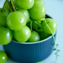 고당도 프리미엄 샤인머스켓 추석 선물세트2kg(특)4입