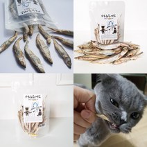 강아지 고양이 열빙어 동결건조간식 80g, 열빙어 동결건조간식 80g 1개