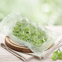 에어젠박스 포도 3호 (2kg 포도포장) 샤인머스켓포장 켐벨 망고포도 청포도 완충재, 50장(낱개)