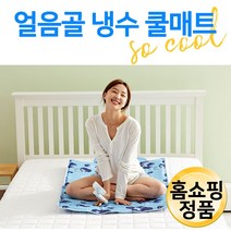 리브맘 얼음골 냉수 쿨매트 쿠션 패드 이중 마감 항균 거실 소파 캠핑 쾌속 냉기 에코 냉각 양면 더블 세트 추천 후기 [로코스샵 홈쇼핑], [로코스샵]리.브.맘.양.면.더.블.매.트