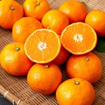 올해 첫수확 제주 노지 감귤 10kg, 10kg : 소과(2S)