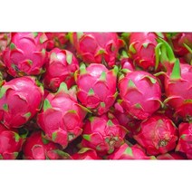 프리미엄 열대과일 레드 베트남 빨간 용과, 빨간용과1box(10과)