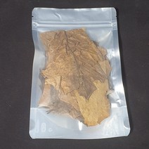 [제이제이아쿠아] 알몬드잎 Almond Leaf 15장