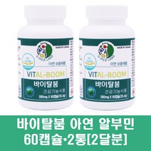 아연보충제 난백 가루 알부민 글루콘산아연 징크 면역력 영양제 캐나다 식약처인증 먹는 호손베리 로얄제리 남자 알부민 수액 수치 효능, 2통