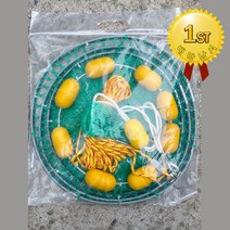 바다부력망 와이어 살림망 3단부력망 중/대 사이즈, 45cm