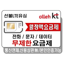 [한국유심] 한국 eSIM 데이터 무제한 유심 아이폰e심 도시락eSIM, 한국 8GB, 30일