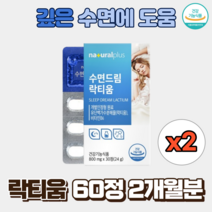 잠잘오는영양제 수면에 좋은 꿀잠 수면질개선 숙면영양제 락티움, 락티움 2상자