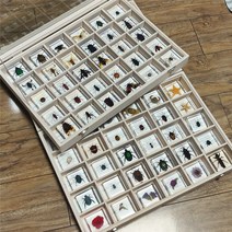 교육용 실제 곤충액자 표본 아크릴 핀 수집 세트 키트, 84종 세트+선물세트