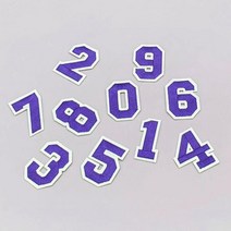 패치 와펜 의류 숫자 보라