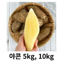 야콘 5kg 10kg 국내산 산지 직송 땅속의 과일 아삭아삭 달달함 식감좋은 부침 생채 야콘주스 야콘즙 천연감미료 야콘