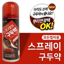 비엘코리아 리빙굿 스프레이 뿌리는 구두약 200ml 왁스 구두닦이 광택 가죽신발클리너 구두광택제 모든색상용 발수효과