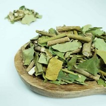 백장생 국내산 황칠나무잎 (잎/가지), 200g, 2개, 2개