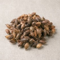 봉래 국산 도꼬마리(창이자) 100g 15개입 BOX/도꼬마리열매/창이자열매 식품 > 건강식품 전통건강식품 기타전통건강식품/한방재료, 1″ class=”wr-img”></a></div></div></div></div><div class=