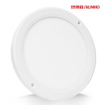 번개표 금호 LED 무타공 엣치 엣지 직부등 20W 현관 계단 복도, 번개표금호 LED 원형 직부등 20W주광색(흰빛)