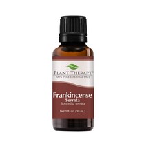 Plant Therapy 아로마 에센셜 오일 프랑킨센스 30mL