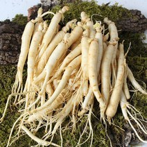 친환경팔도 금산 황금농장 삼계탕갈비탕용 인삼 750g 잔소중 인삼/한차재료>>인삼, 세척(잔)700g/80뿌리내외” class=”wr-img”></a></div>
</div>
</div>
</div>
<div class=