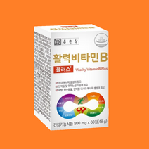 고농축 비타민B군음식 역할 비타민B12효능 고려은단 비타민비12