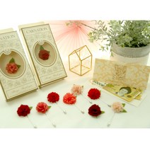 어버이날 용돈봉투+꽃 카네이션 코사지/브로치/부토니에