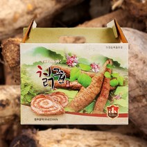 국내산 프리미엄 칡즙 진액 100ml 60포, 60개